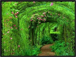 Rośliny, Ogród, Tunel